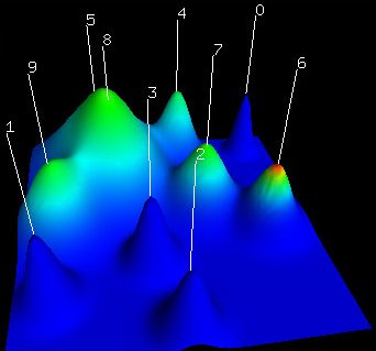 topographical cluster visualization